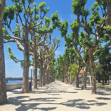 Vinum 1890 * Coímbra