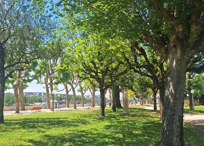 Vinum 1890 Apartamento Coimbra