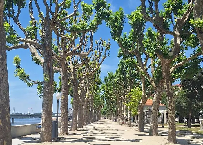 Vinum 1890 * Coimbra